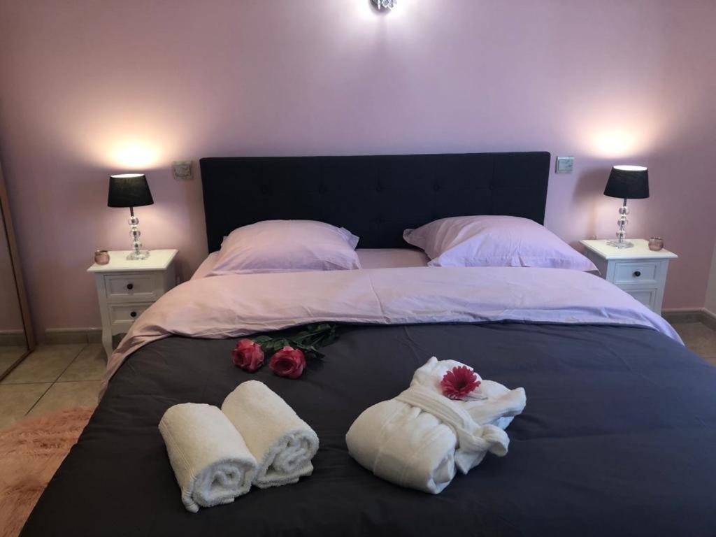 Del Catalunya Villa Perpignan