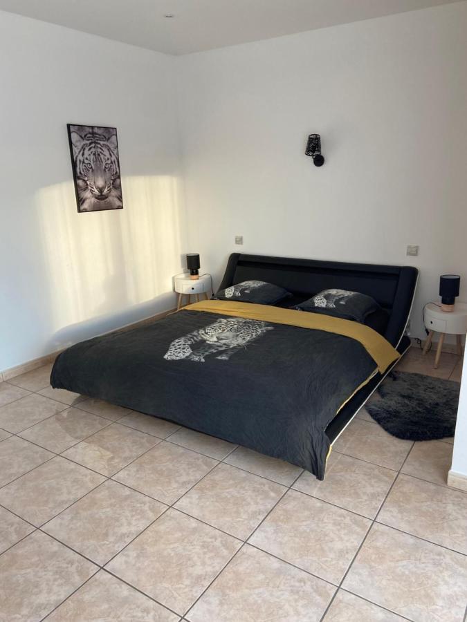 Del Catalunya Perpignan